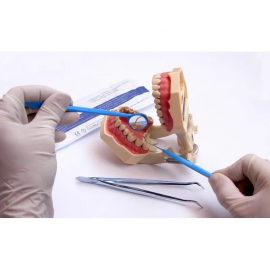 Kit de diagnostic dentaire jetable. DI-EKOKIT Medistock Steriblue